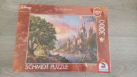 NEU 3000 Teile Puzzle -> Thomas Kinkade : Belle's Magical World Niedersachsen - Löningen Vorschau