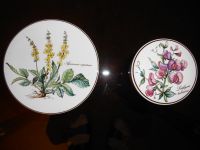 Villeroy & Boch BOTANICA VITRO - Porzellan Nordrhein-Westfalen - Rahden Vorschau