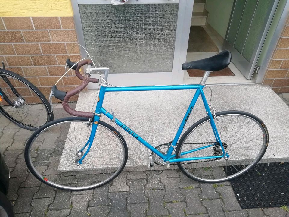 Rennrad Stahlrahmen XL 60 cm in Darmstadt