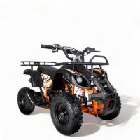 Mini ATV Miniquad Kinder M7 6" zoll Elektrostarter 2Takt NEU!! Nordrhein-Westfalen - Gelsenkirchen Vorschau
