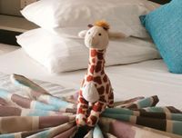 Suche Nici Giraffe Sonderedition Zoo Friends Berlin - Tempelhof Vorschau