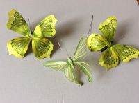 2 Schmetterlinge auf Clip und Schmetterlingstecker, grün Niedersachsen - Buchholz in der Nordheide Vorschau