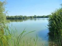 [SUCHE] See zum Kaufen Nordrhein-Westfalen - Geseke Vorschau