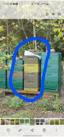 Bienen zu verkaufen Taunus Zander mit Beute Nordrhein-Westfalen - Heinsberg Vorschau