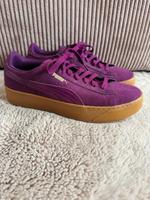 Sneaker Puma Sachsen-Anhalt - Halle Vorschau