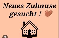 2-3 Zimmer Wohnung gesucht Nordrhein-Westfalen - Heinsberg Vorschau