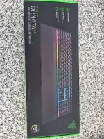 Razer Tastatur Ornata Bayern - Abenberg Vorschau