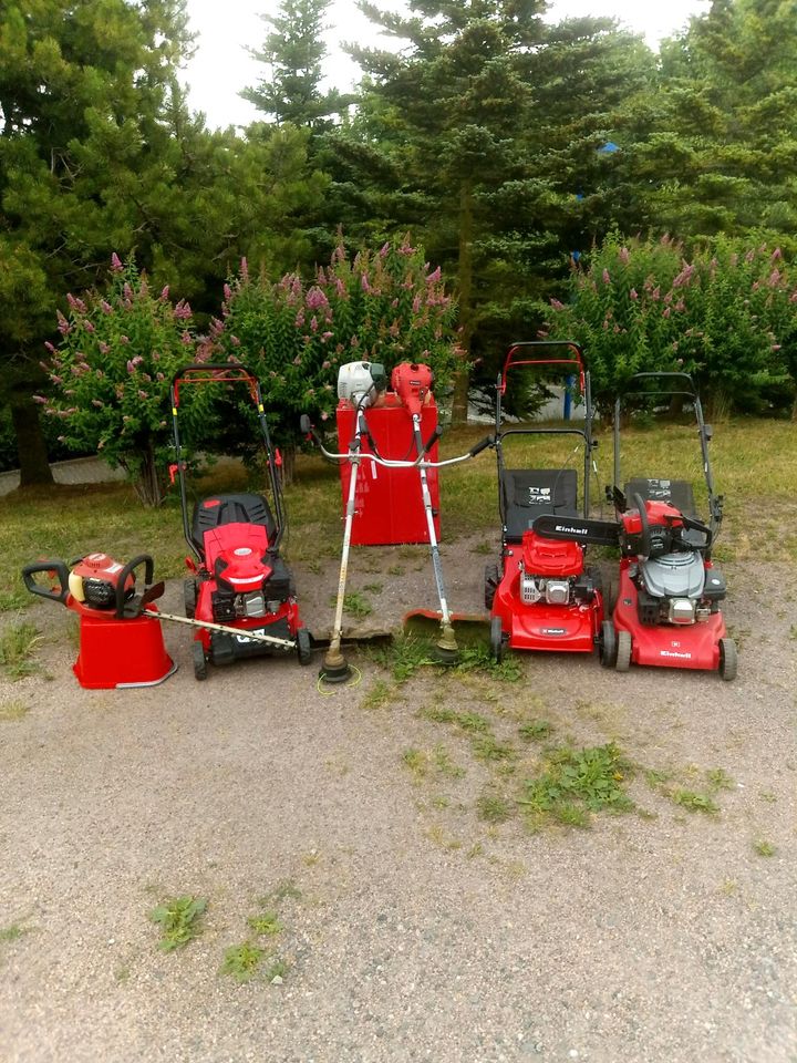 Gartenarbeit / Rasenmähen / Hecke schneiden / Gehwegreinigung uvm in Auerbach (Vogtland)