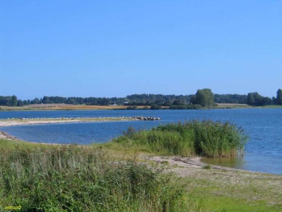 Ferienhaus Ostsee 2 Personen viele Hunde erlaubt Ofen Zaun in Eckernförde