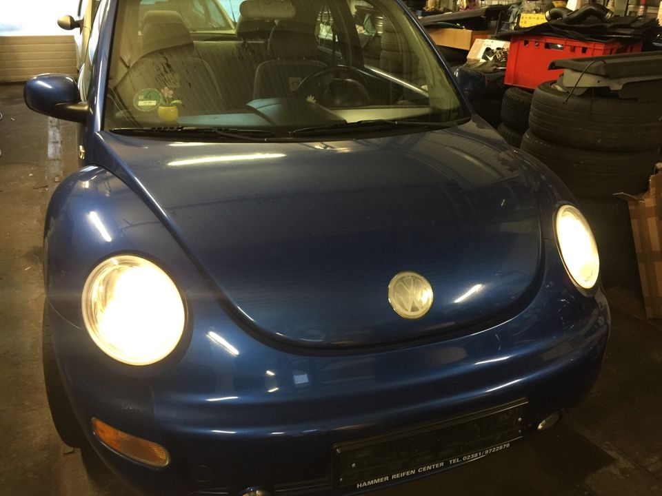 VW BEETLE 1.6L-KLIMA-EFH ZENTRAL-NEU TÜV BEI KAUF INKL PREIS in Lippstadt