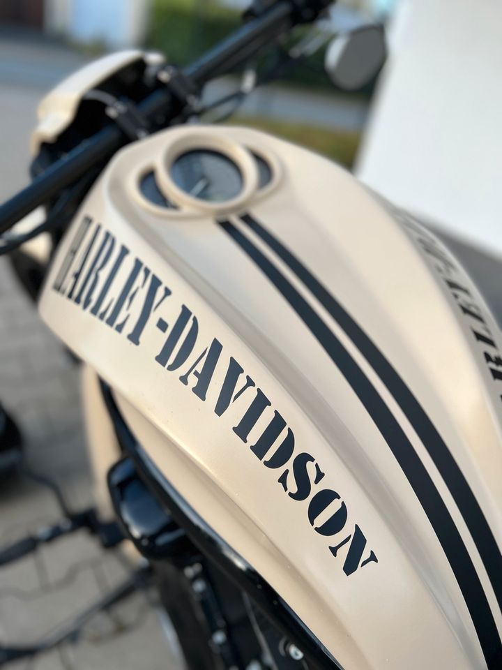 Harley Davidson Night Rod Special Sand Camo Jekill tief breit TÜV in Möhnesee