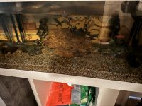 60L Aquarium mit Unterschrank Rheinland-Pfalz - Ludwigshafen Vorschau