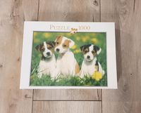 Puzzle 1000 Teile *NEU in OVP* Schleswig-Holstein - Enge-Sande Vorschau