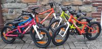 14", 16", 18", 20" Fizz - Alu Kinderfahrrad - neu Nordrhein-Westfalen - Plettenberg Vorschau