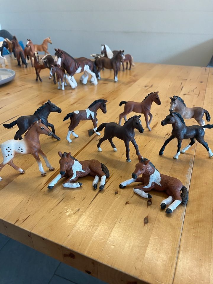 Schleich Fohlen Pferde in Düren