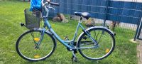 Fahrrad Pegasus 28  zoll Niedersachsen - Moormerland Vorschau