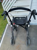 Rollator der Firma "DIETZ ", Model TAIMA ECO - Gr. M Schleswig-Holstein - Barsbüttel Vorschau