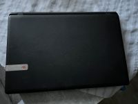 Laptop von Packard Bell Essen - Stoppenberg Vorschau