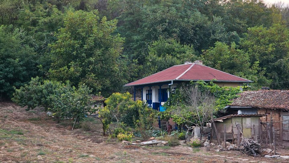 Haus mit Grundstück und viel noch alles Bio Natur in Freiburg im Breisgau