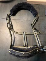 Equestrian Sports-Brand cavallo Gr,Cob Hessen - Lollar Vorschau