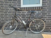 Damenfahrrad Niedersachsen - Hatten Vorschau