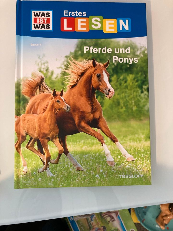 Was ist was Pferde und Ponys Erstes Lesen Erstleser Klappen in Baiersdorf