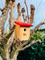 DARLUX Flachdach Nistkasten Brutstätte aus Holz kleine Singvögel Dresden - Coschütz/Gittersee Vorschau