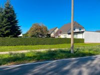 Firma Hölzel Leipzig -Heckenschnitt, Gartenpflege Hecke schneiden Leipzig - Sellerhausen-Stünz Vorschau