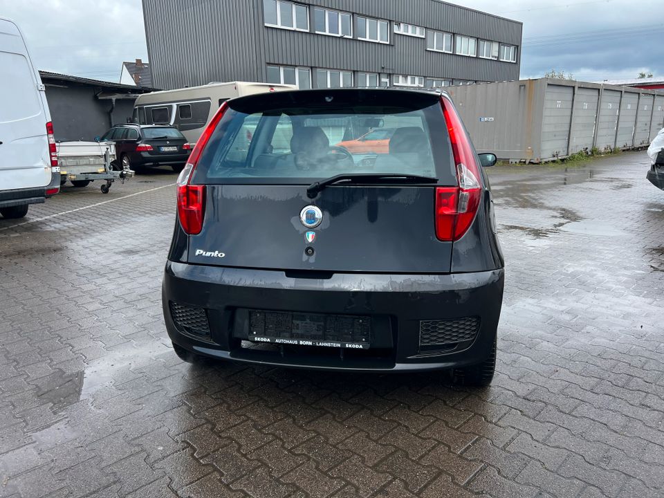 Fiat Punto 1.2 Klima in Koblenz