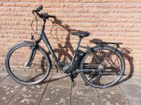 28 Zoll eBike Kalkhoff Agattu Impulse Damenrad. Nordrhein-Westfalen - Beverungen Vorschau