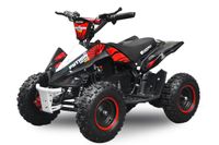 Elektro Kinderquad 1000W Eco mini Kinder Quad Python 6" ATV Nordrhein-Westfalen - Gelsenkirchen Vorschau