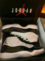 Nike Air Jordan 11 Concord Eu 49.5  US 15 Herzogtum Lauenburg - Geesthacht Vorschau