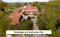 Pferdeboxen, Weidegang, Reithalle, Reitplatz, Reitstall Ochsenhof Schleswig-Holstein - Oldenburg in Holstein Vorschau