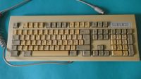 PC Tastatur Keyboard CHICONY KB-5916 DIN 5 polig  5916 retro Baden-Württemberg - Hattenhofen Vorschau