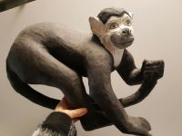 Affe Kapuzineraffe Lemur Figur Statue schwarz weisses Gesicht 40 Nordrhein-Westfalen - Gelsenkirchen Vorschau