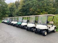 EZGO RXV Golfcar Clubcar Gator Elektro Golfcart Bayern - Ebelsbach Vorschau