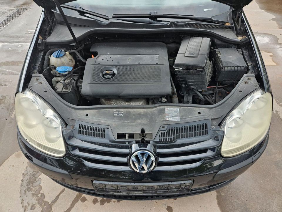 Volkswagen Golf V Lim. Trendline in Neustadt an der Weinstraße