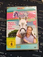 DVD Merel kämpft sich durch Dithmarschen - Heide Vorschau