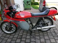 MV Agusta 350 Sport Rennverkleidung Baden-Württemberg - Baltmannsweiler Vorschau