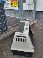 Hunde Transport Box Nordrhein-Westfalen - Siegen Vorschau