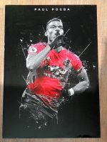 Metal Poster Paul Pogba Display Yourself Niedersachsen - Göttingen Vorschau