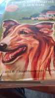 Lassie Kinderbuch aus den 60 er Jahren Nordrhein-Westfalen - Burbach Vorschau