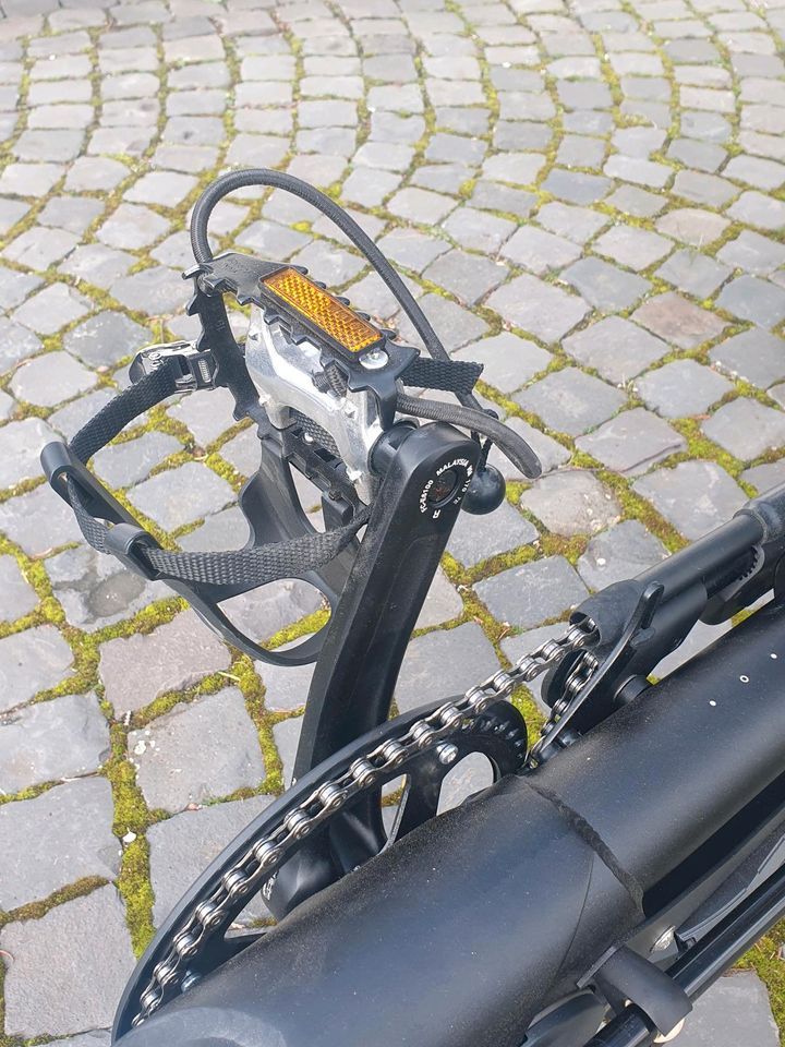 Hase Lepus Steps E-Bike in Essen