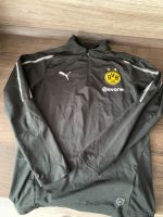 ***PUMA BORUSSIA DORTMUND SWEATSHIRT***KINDER GR. 152**TOP*** Rostock - Stadtmitte Vorschau