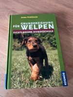 Grunderziehung für Welpen Anton Fichtelmeier Hessen - Schlangenbad Vorschau