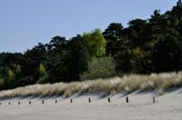 AB 18.09. FERIENWOHNUNG MIT GARTEN, HUND, DICHT AM STRAND Mecklenburg-Vorpommern - Lubmin Vorschau