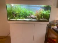 180 Liter Aquarium mit Unterschrank von Juwel in weiß Baden-Württemberg - Freiburg im Breisgau Vorschau