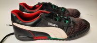 Puma Fußballschuhe Gr.9  wie neu Baden-Württemberg - Dürnau Vorschau