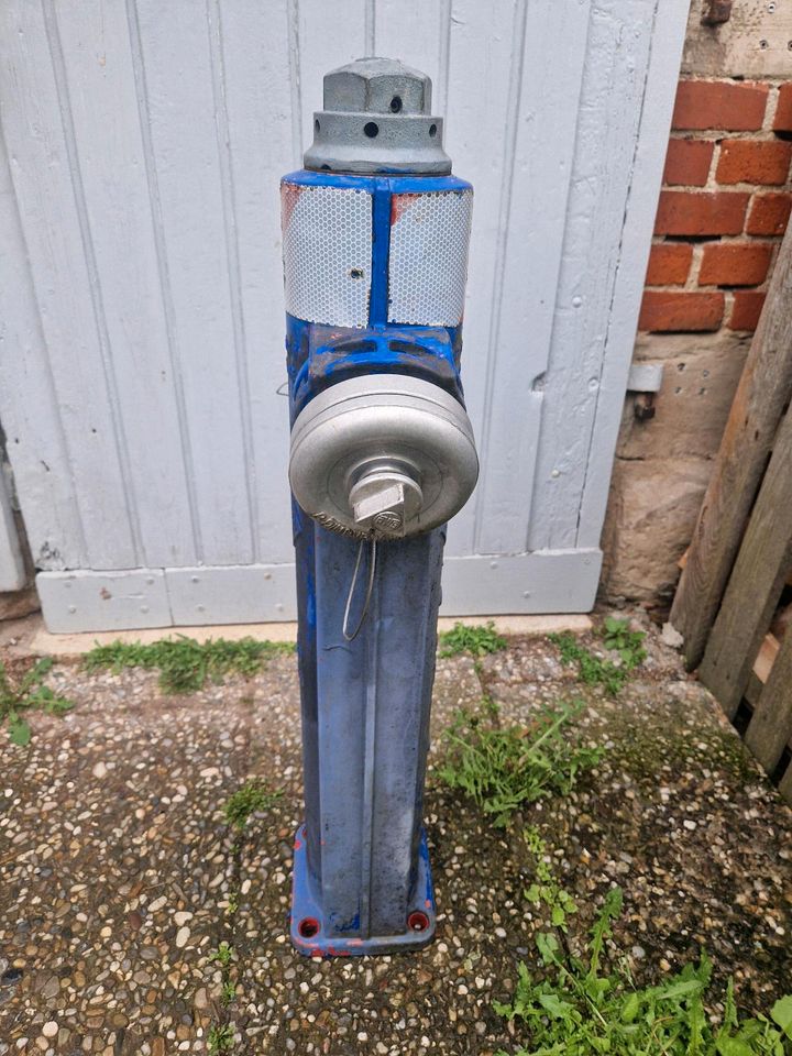 Hydrant, Oberflurhydrant, Überflurhydrant in Grub a. Forst