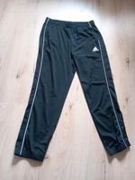 Herren Sport Hose Gr.L Nordrhein-Westfalen - Arnsberg Vorschau